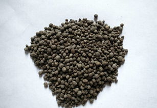 微生物肥料生产基地建设项目可行性研究报告