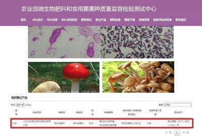 清远农户2万株柑橘黄化背后 套证肥料的隐形陷阱